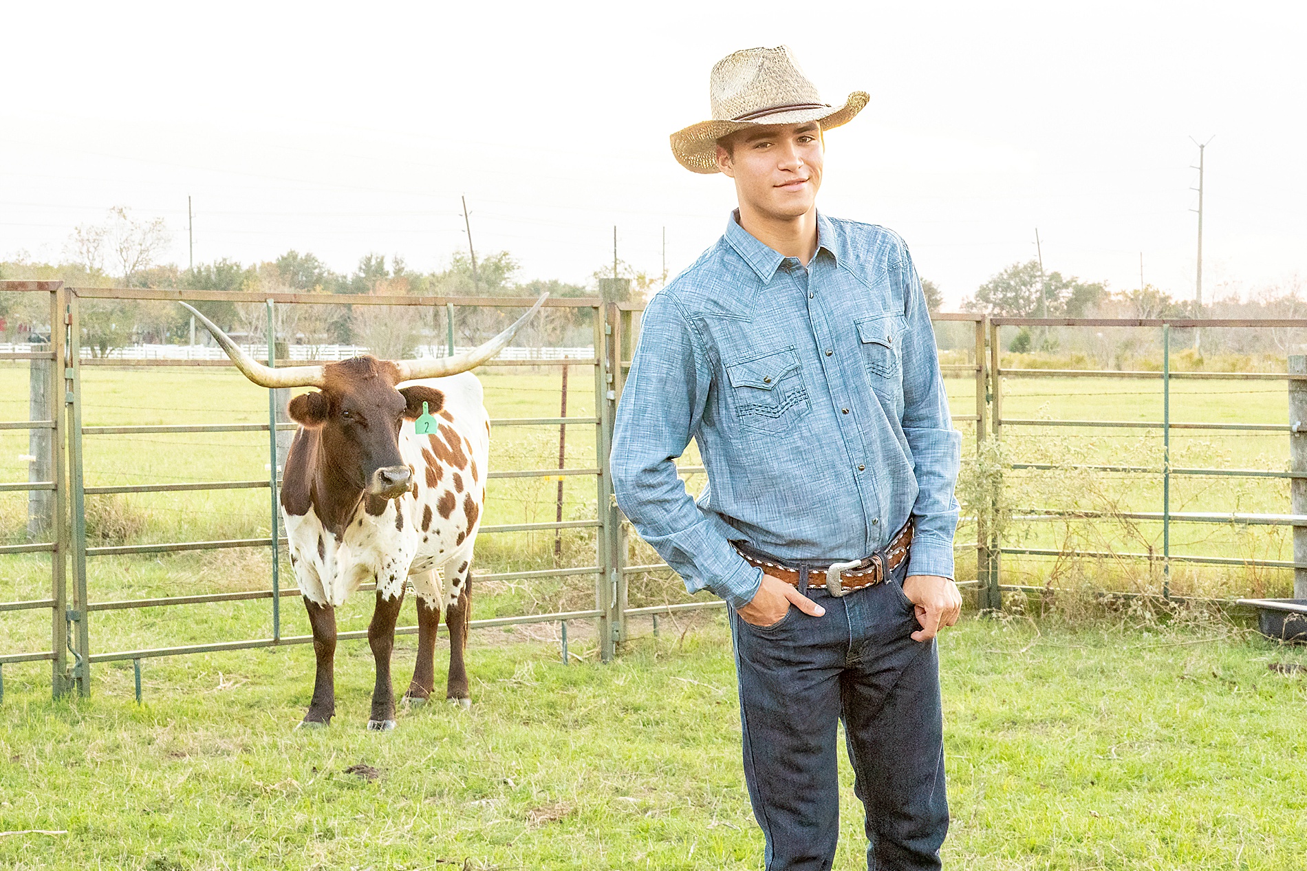 Houston Texas Senior Portraits with Longhorn