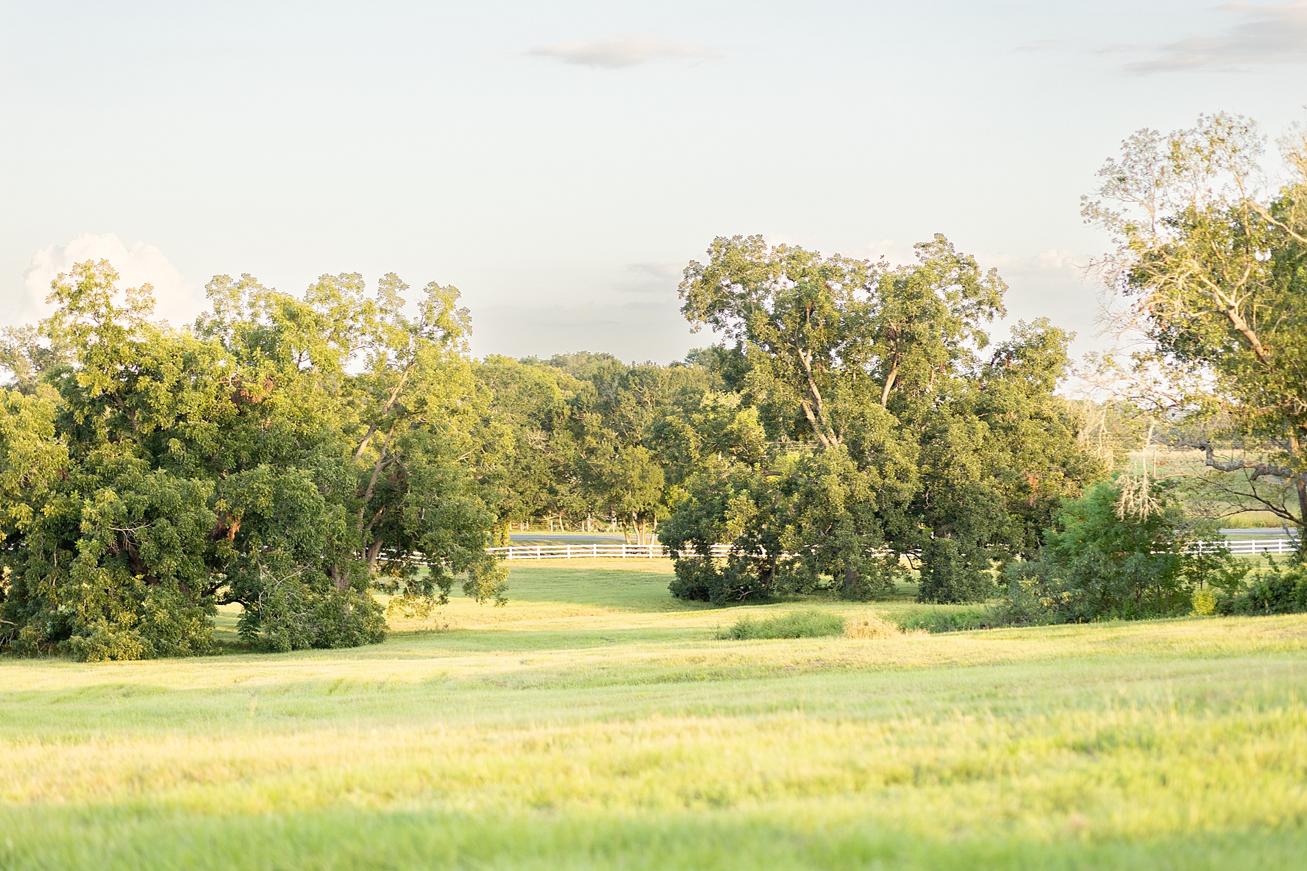 light and airy portraits at Deep In The Heart Farms