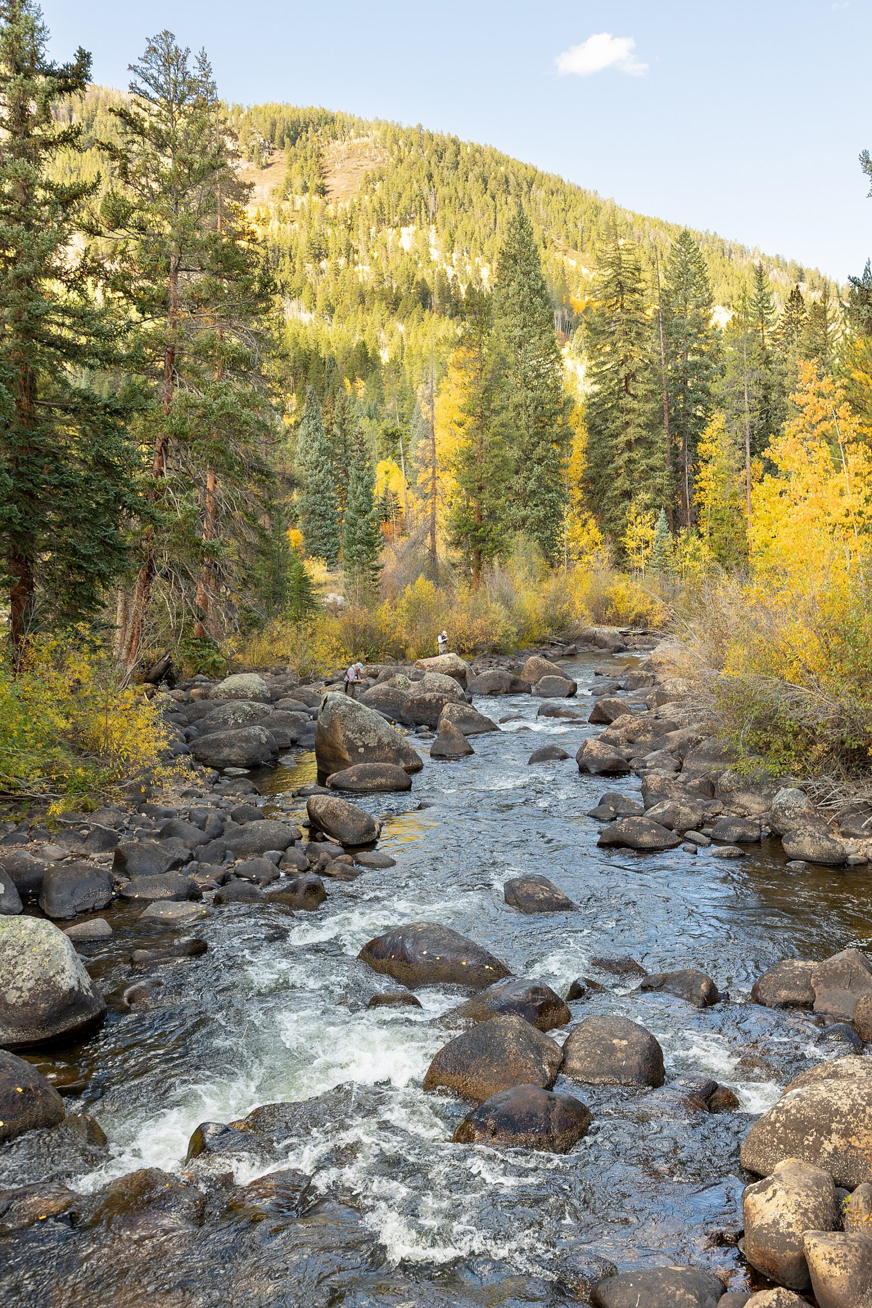 rocky creek bed in Aspen, CO