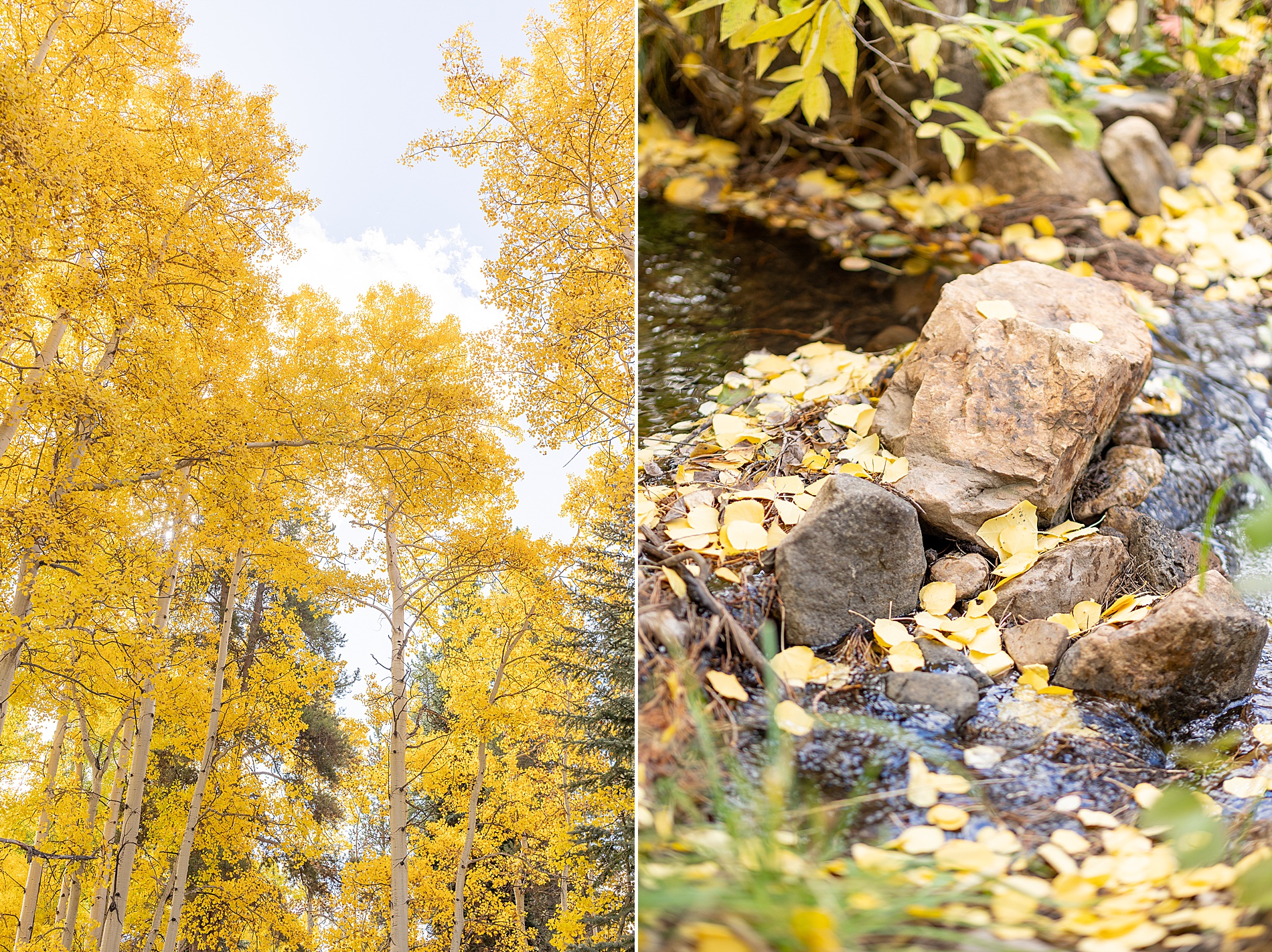 fall landscape at Beyul Retreat in Aspen
