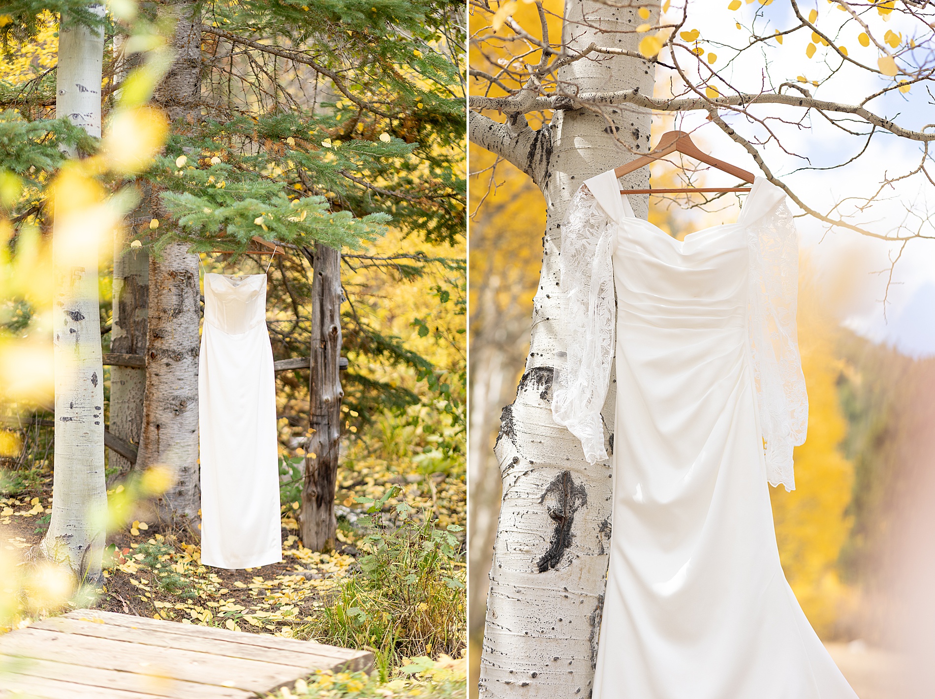 wedding dress hanging from tree
