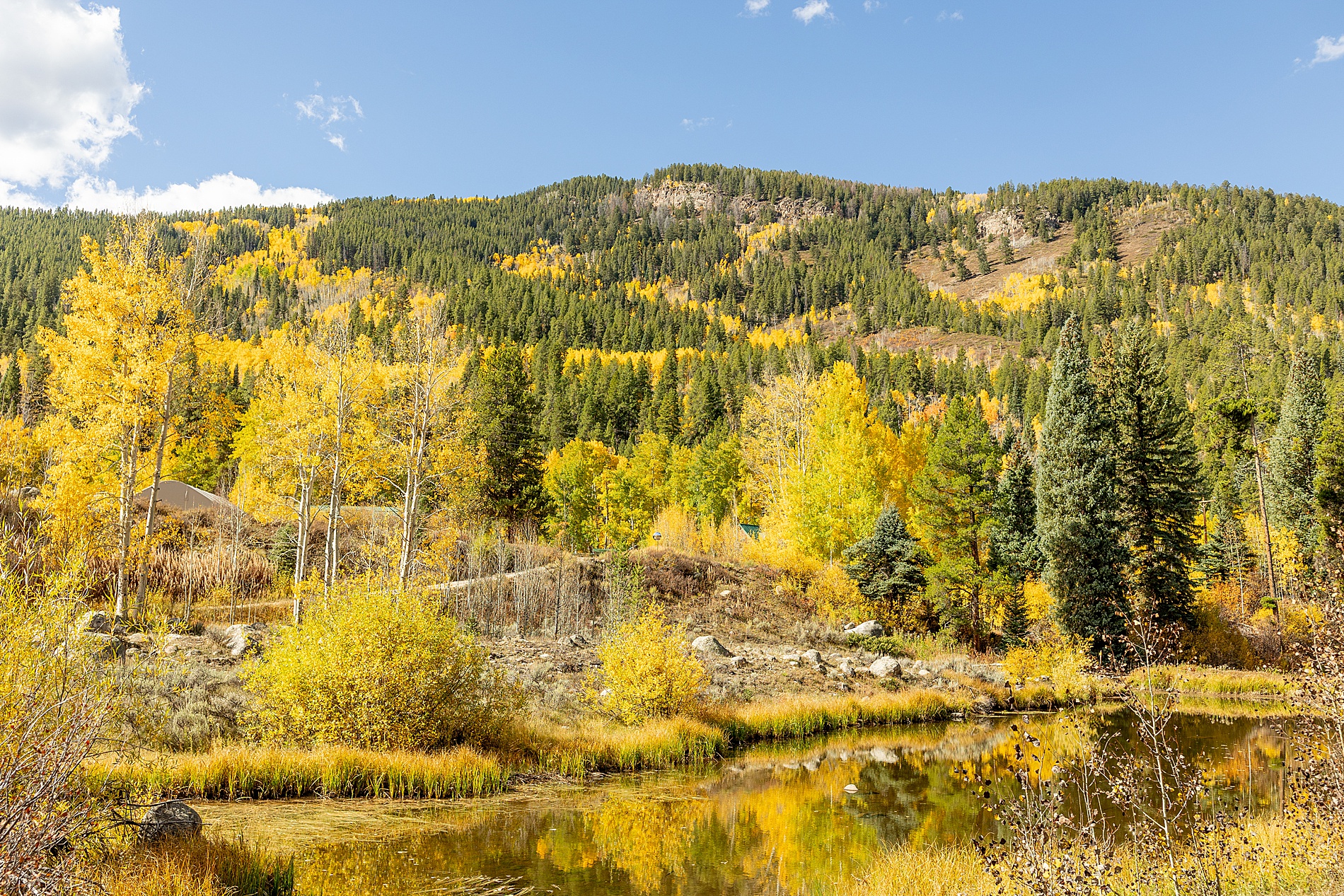 fall landscape in Aspen Co in the mountains