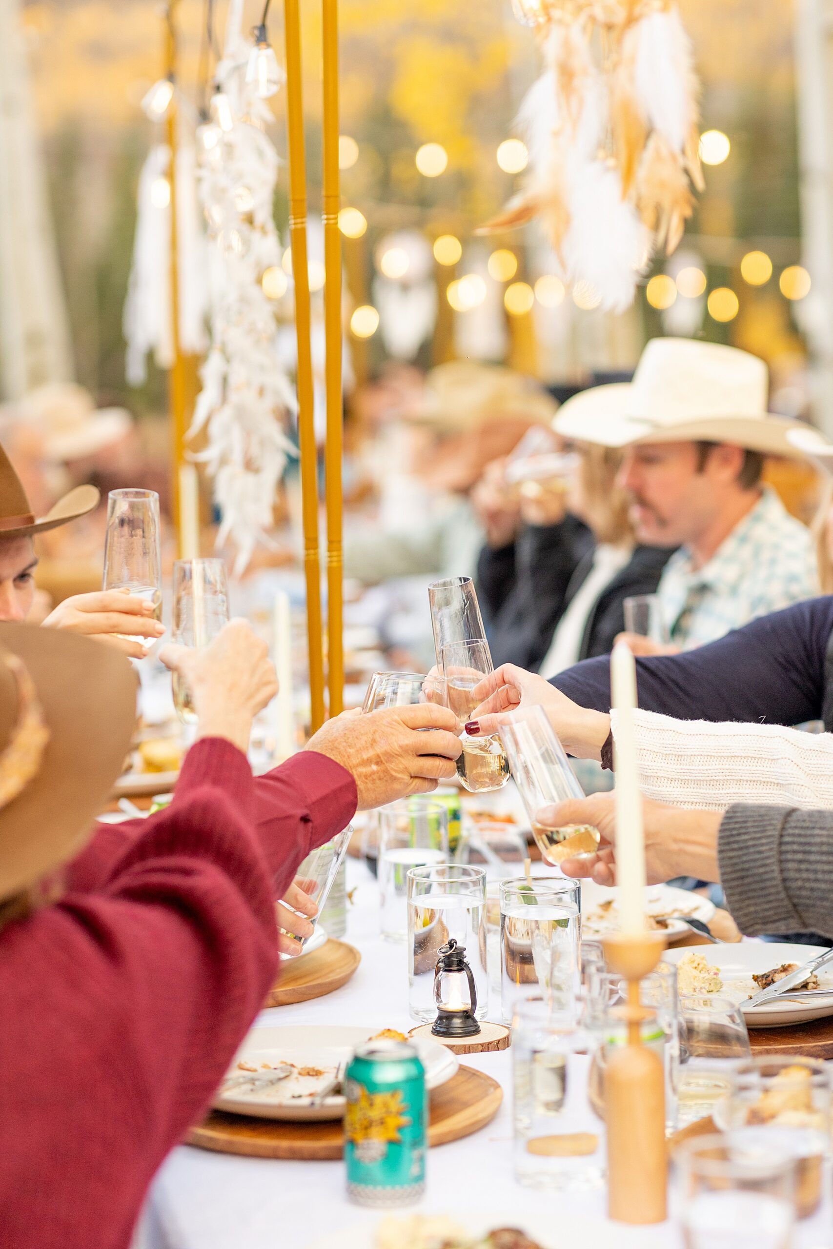 wedding guests toast glasses at dinner