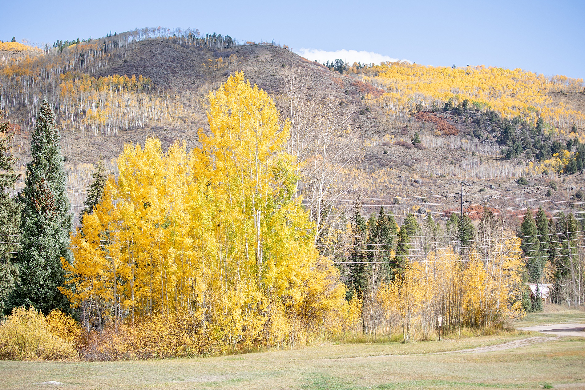 Aspen, CO in the fall