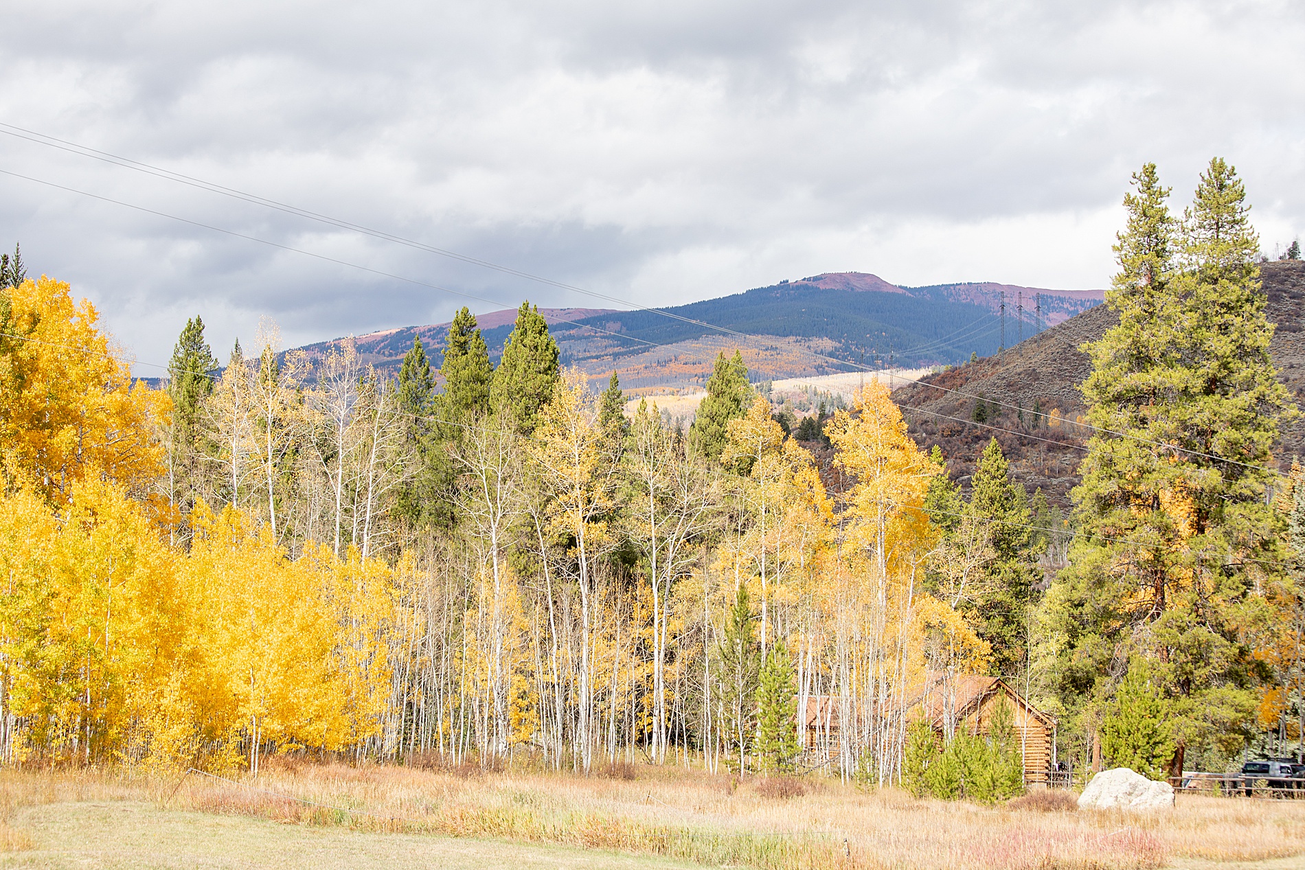 fall landscape in Aspen, CO