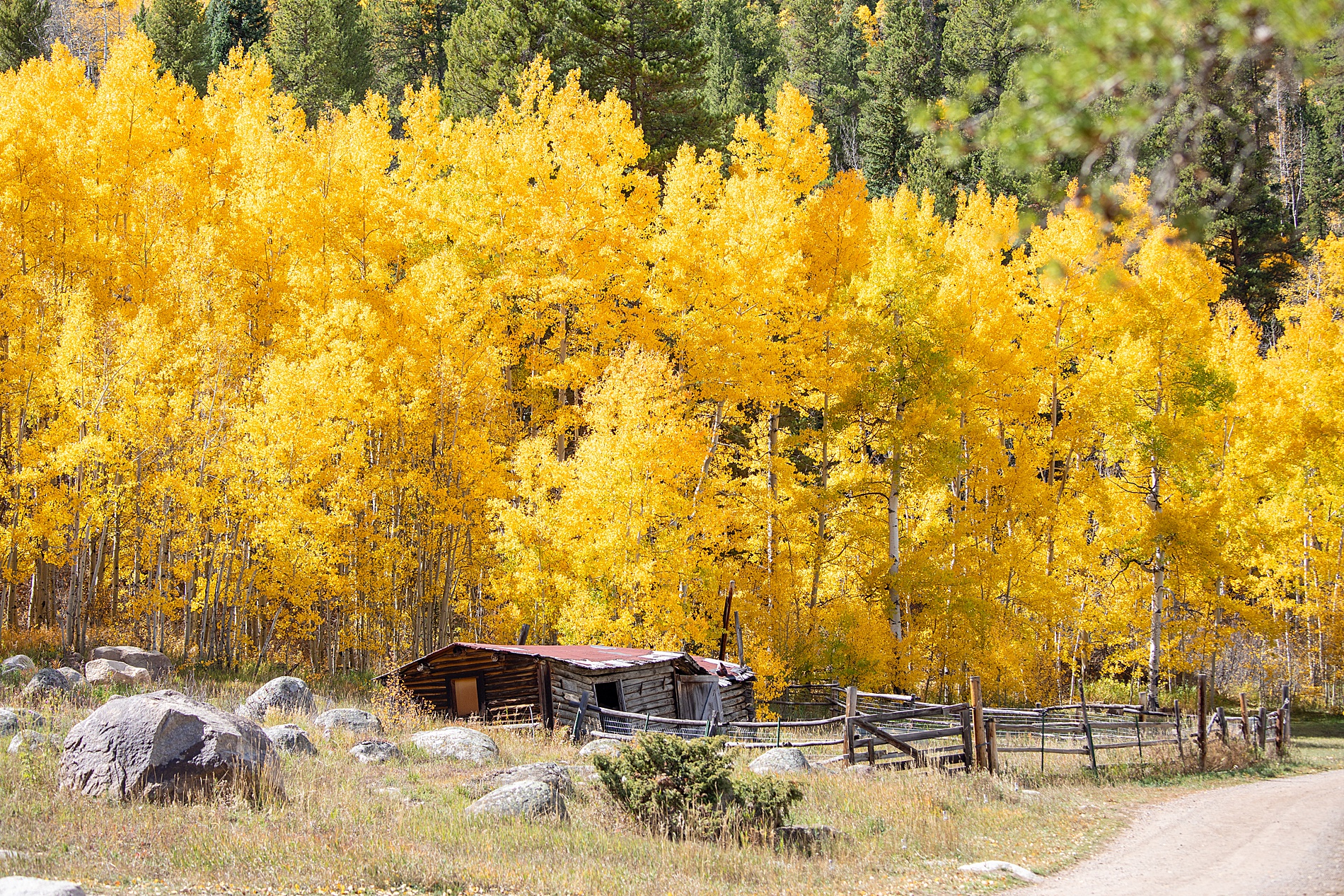 fall wedding in Aspen, CO at Beyul Retreat