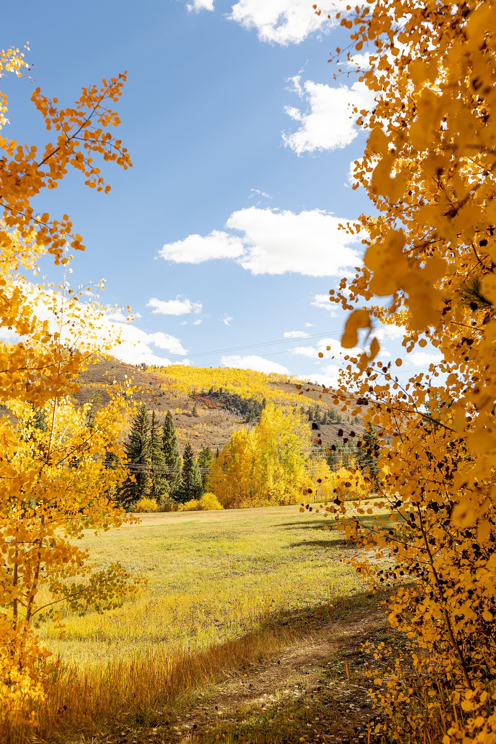 fall landscape in Aspen, Colorado at Beyul Retreat