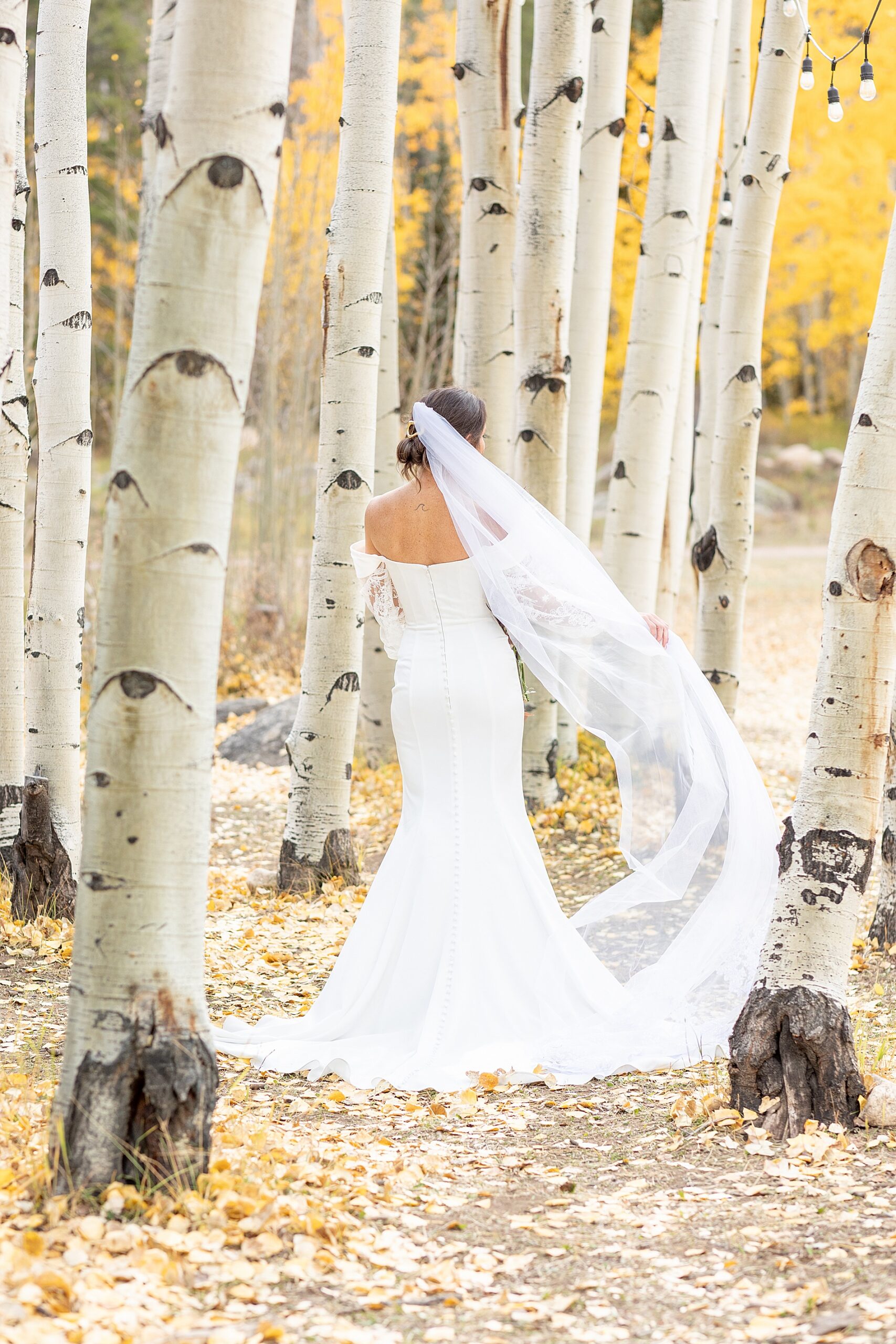 back of bride's wedding dress