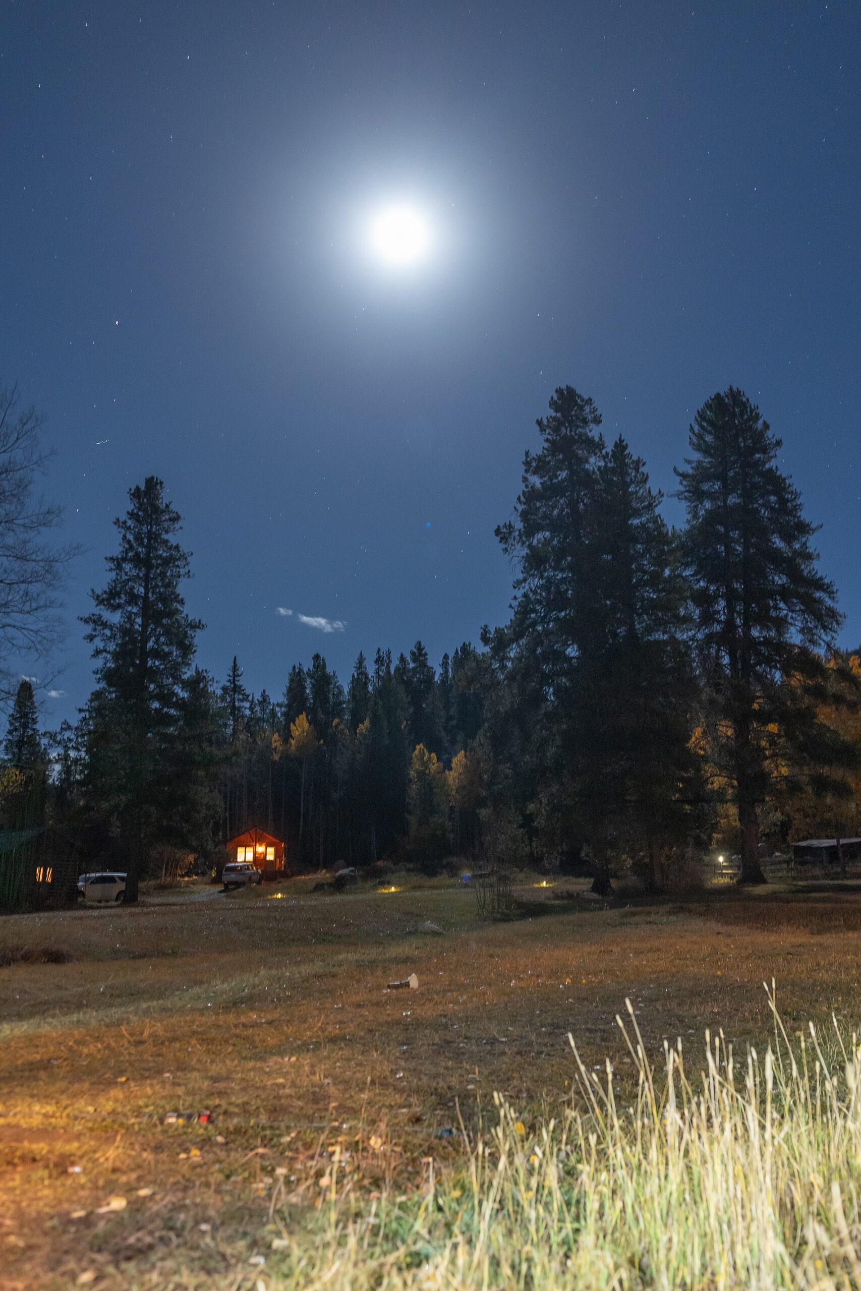 Vibrant Aspen, Colorado Wedding at Beyul Retreat | Colorado Wedding Photographer