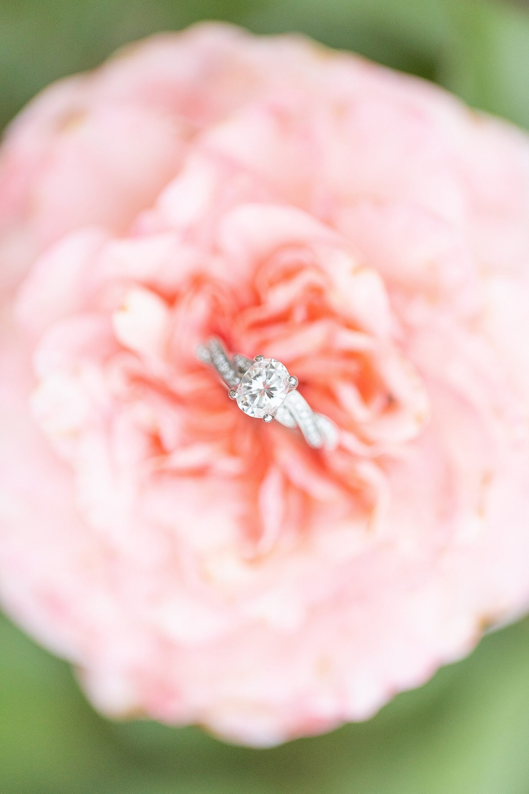 engagement ring in pink flower