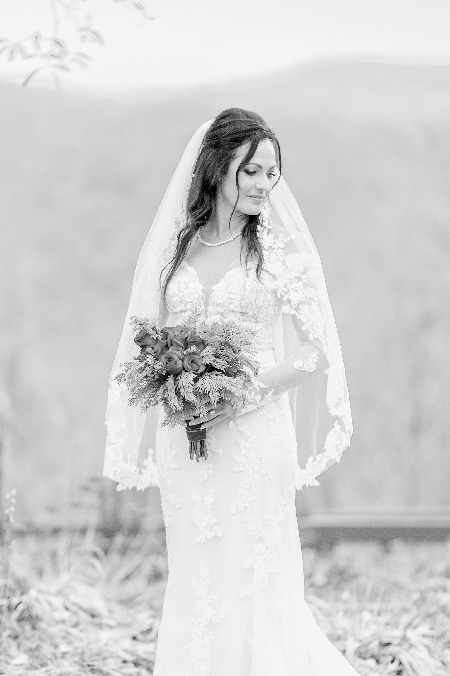 classic bridal portraits 