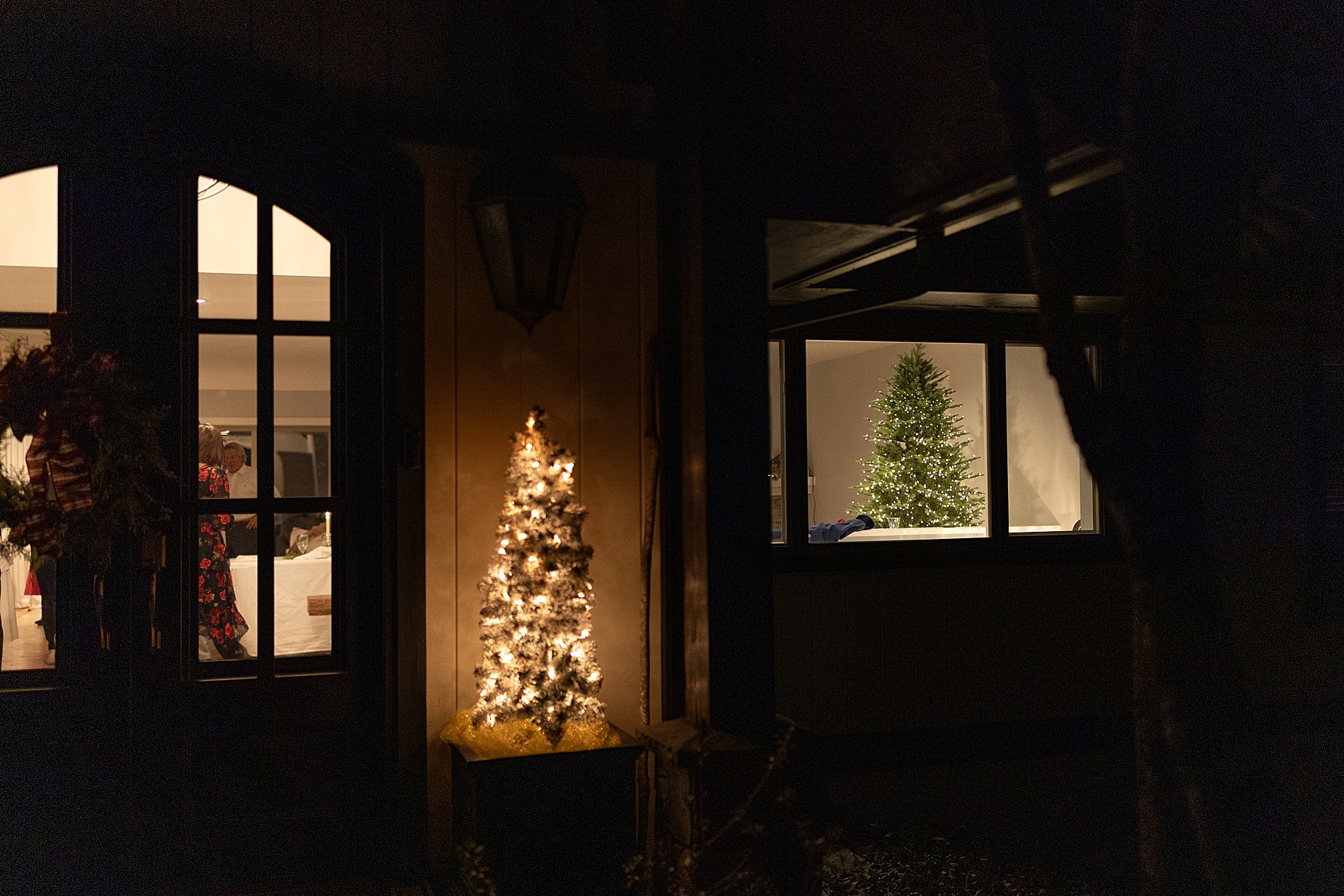 Christmas trees seen through window 
