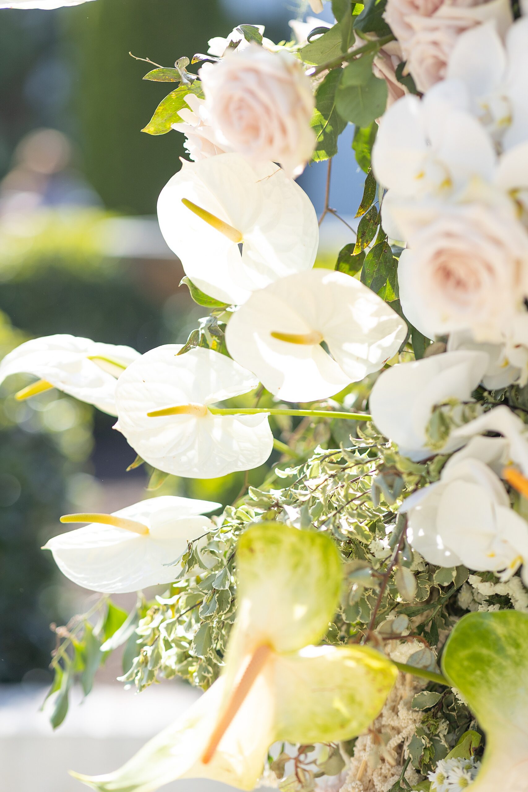white lilies and soft pink roses 