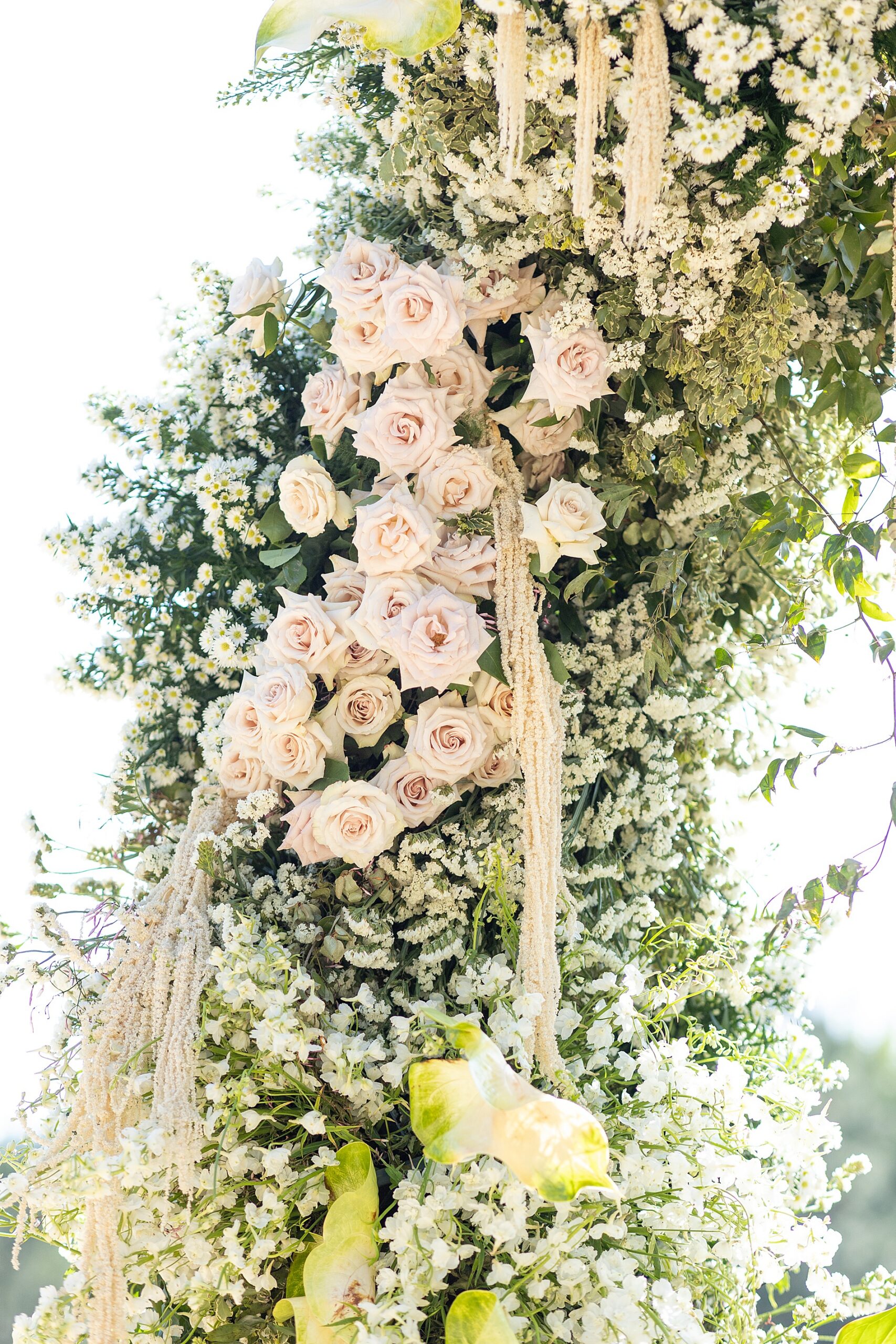 small white flowers and soft pink roses decorate floral arch. 